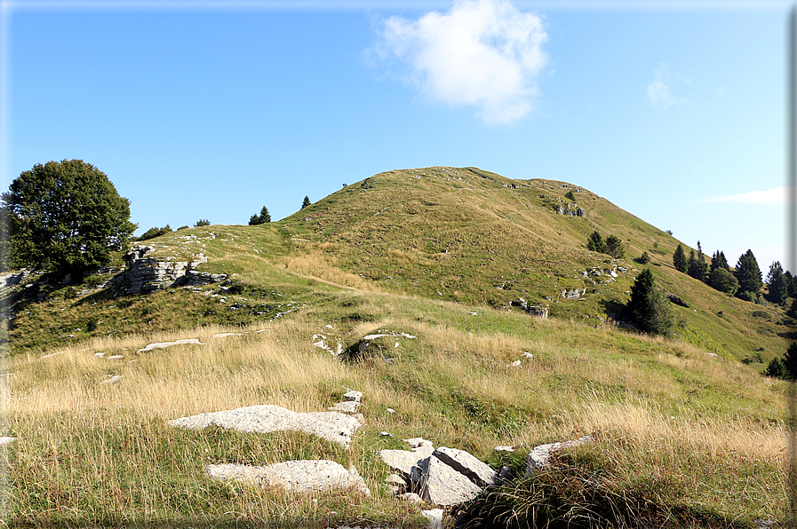 foto Col dell'Orso